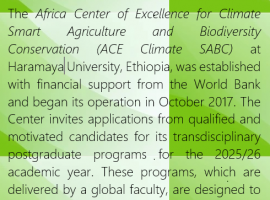 Call for Applications: 2025/26 Academic Year
