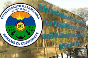 Afran Kello Banner Center-300x200 Afran Kello Banner Center-300x200